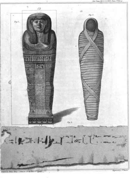 Picture of an Egyptian Mummy