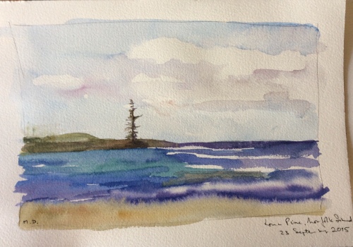 watercolour of a lone pine at Norfolk Island